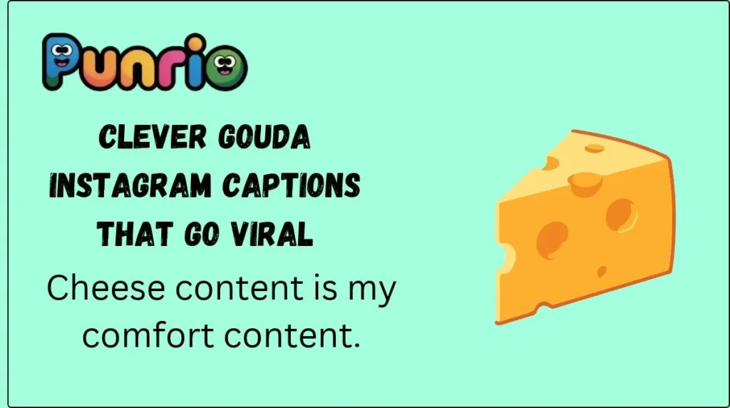 Clever Gouda Instagram Captions That Go Viral