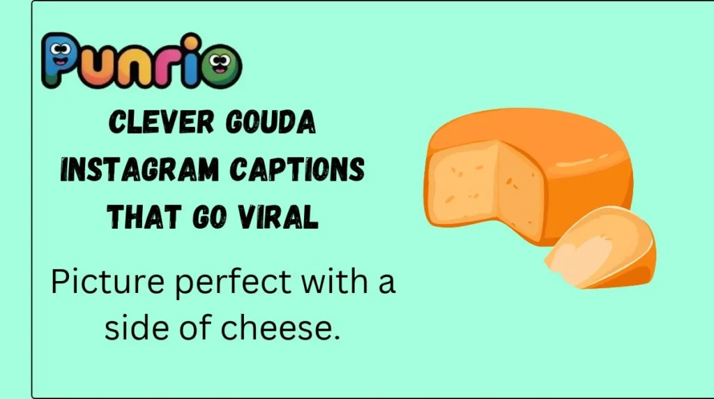 Clever Gouda Instagram Captions That Go Viral