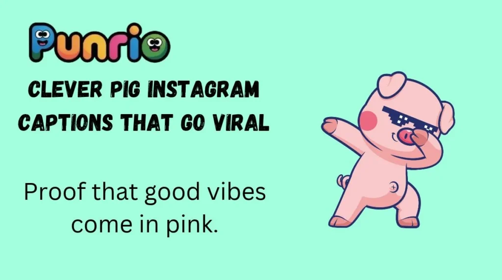 Clever Pig Instagram Captions That Go Viral
