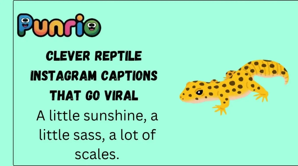Clever Reptile Instagram Captions That Go Viral