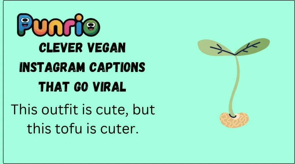 Clever Vegan Instagram Captions That Go Viral