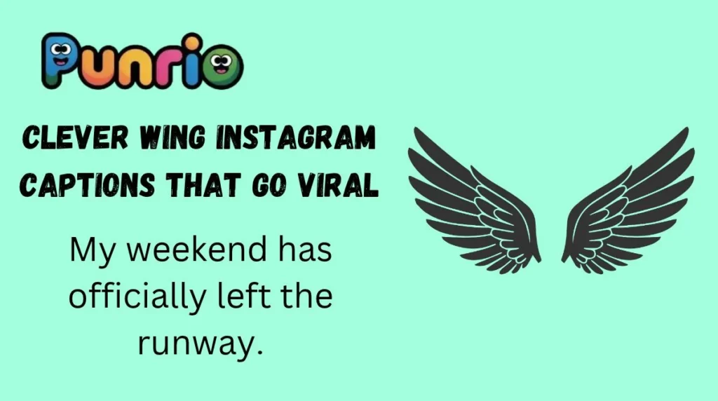 Clever Wing Instagram Captions That Go Viral