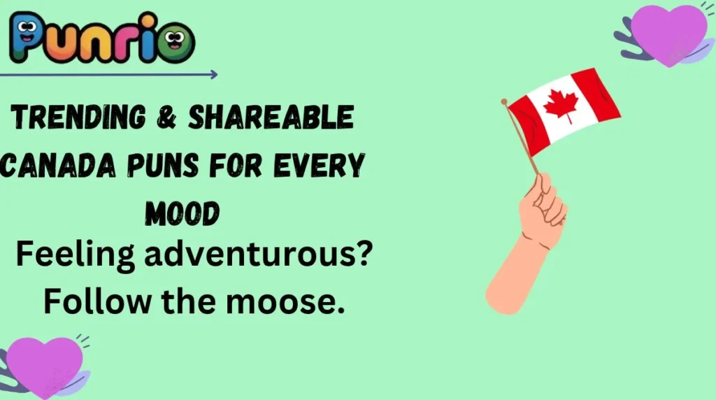 Trending & Shareable Canada Puns for Every Mood