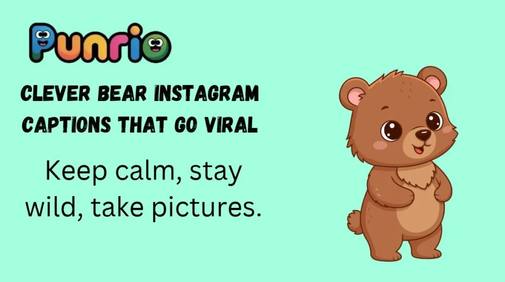 Clever Bear Instagram Captions That Go Viral