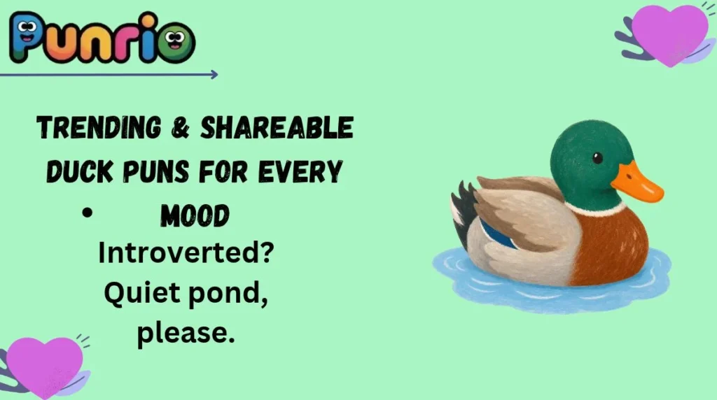 Trending & Shareable Duck Puns for Every Mood