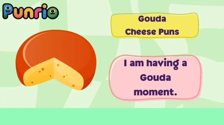 Gouda Cheese Puns